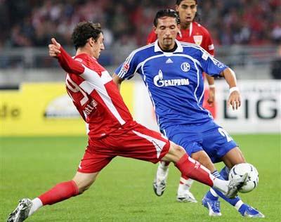 多年来潜心 多年来潜心